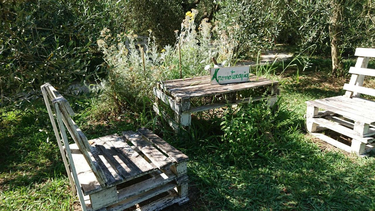 Bed And Breakfast Casale Isorella San Gemini Exterior photo