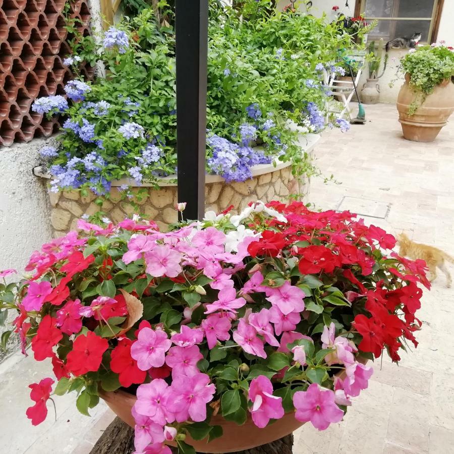 Bed And Breakfast Casale Isorella San Gemini Exterior photo